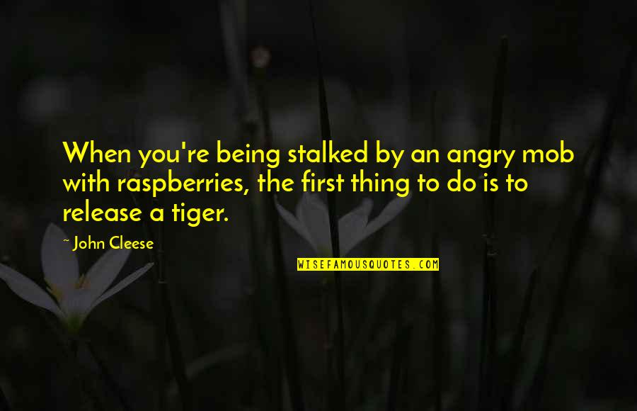 Stalked Quotes By John Cleese: When you're being stalked by an angry mob