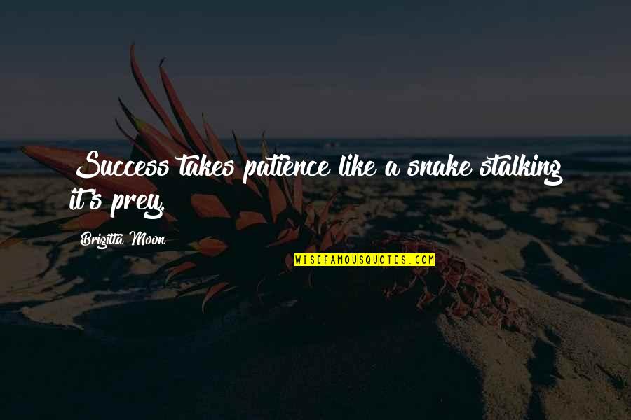 Stalking Prey Quotes By Brigitta Moon: Success takes patience like a snake stalking it's