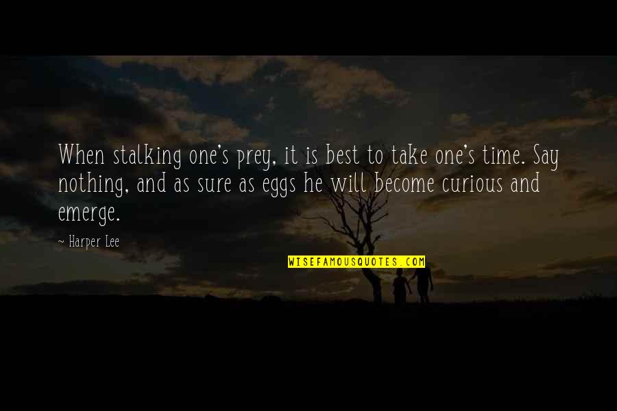 Stalking Prey Quotes By Harper Lee: When stalking one's prey, it is best to