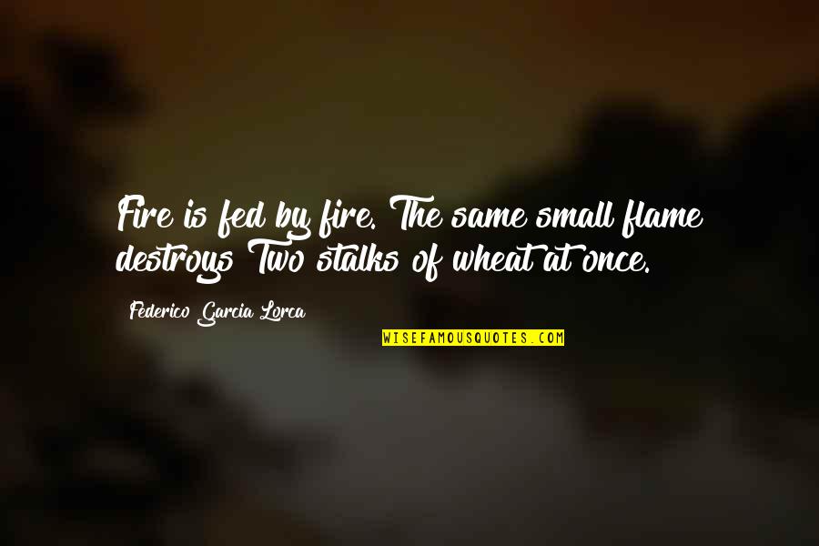 Stalks Quotes By Federico Garcia Lorca: Fire is fed by fire. The same small