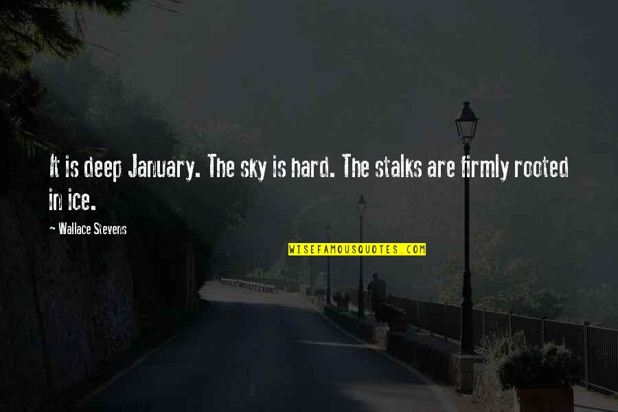 Stalks Quotes By Wallace Stevens: It is deep January. The sky is hard.