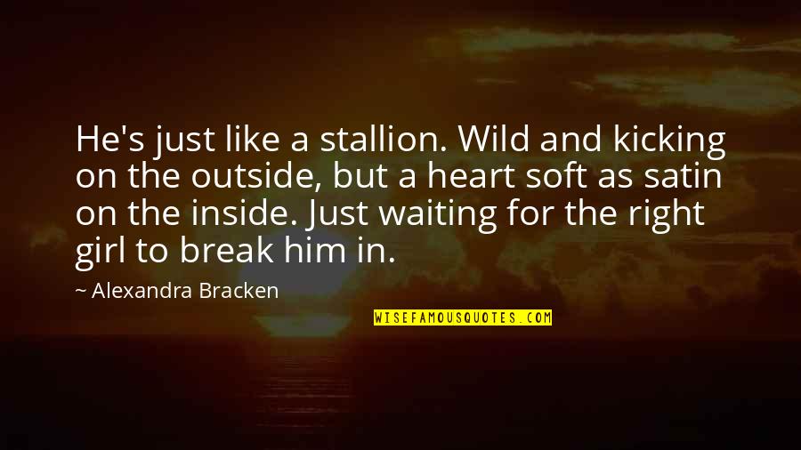 Stallion Quotes By Alexandra Bracken: He's just like a stallion. Wild and kicking