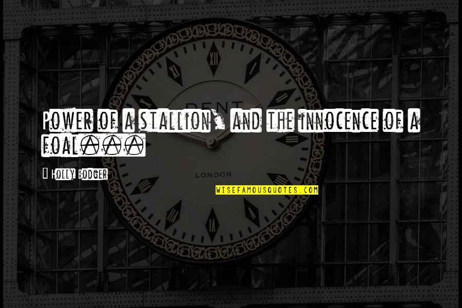 Stallion Quotes By Holly Bodger: Power of a stallion, and the innocence of
