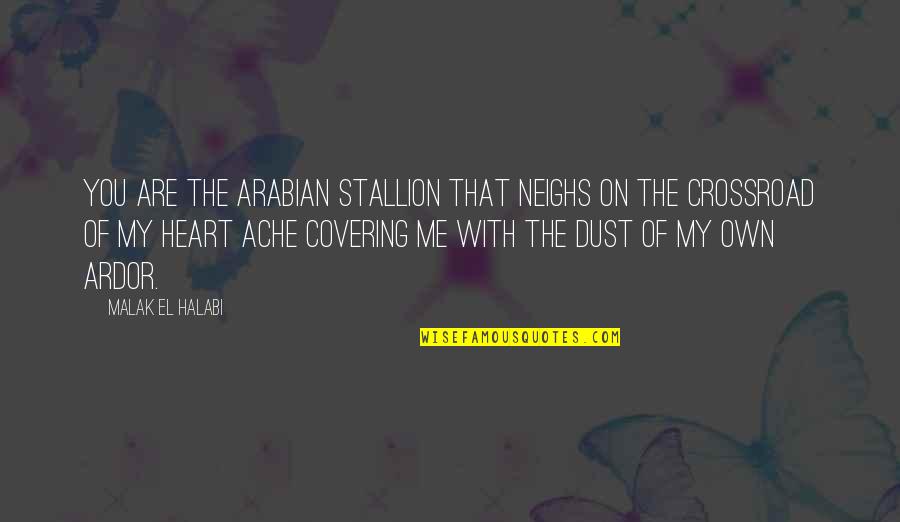 Stallion Quotes By Malak El Halabi: You are the Arabian stallion that neighs on