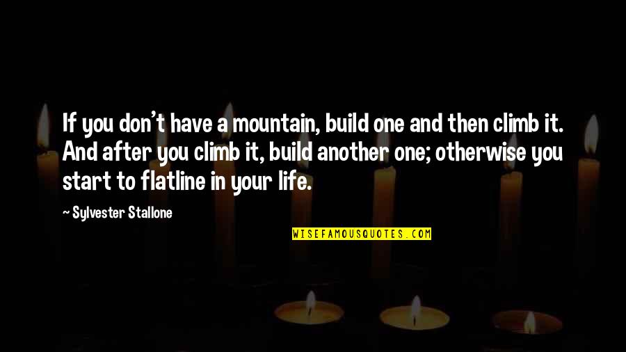 Stallone Sylvester Quotes By Sylvester Stallone: If you don't have a mountain, build one