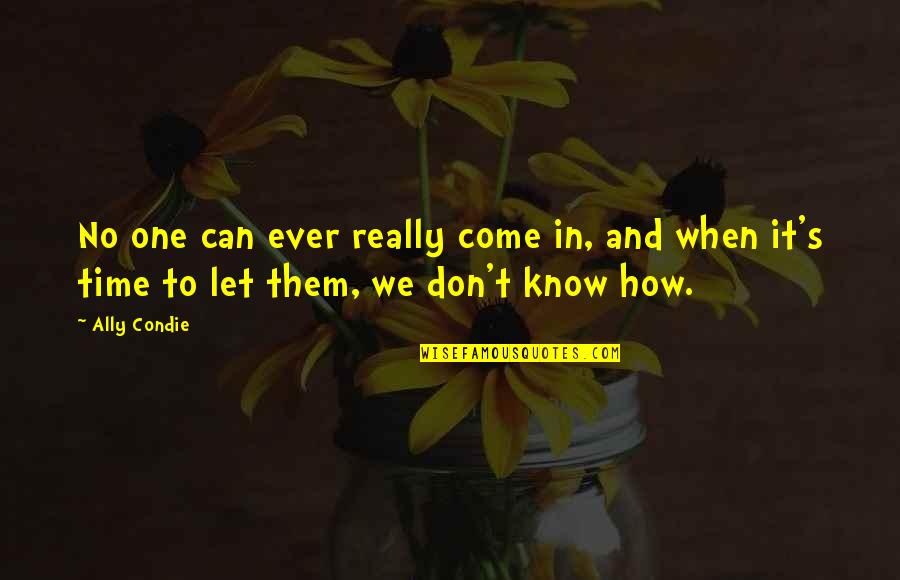 Stalne Struje Quotes By Ally Condie: No one can ever really come in, and
