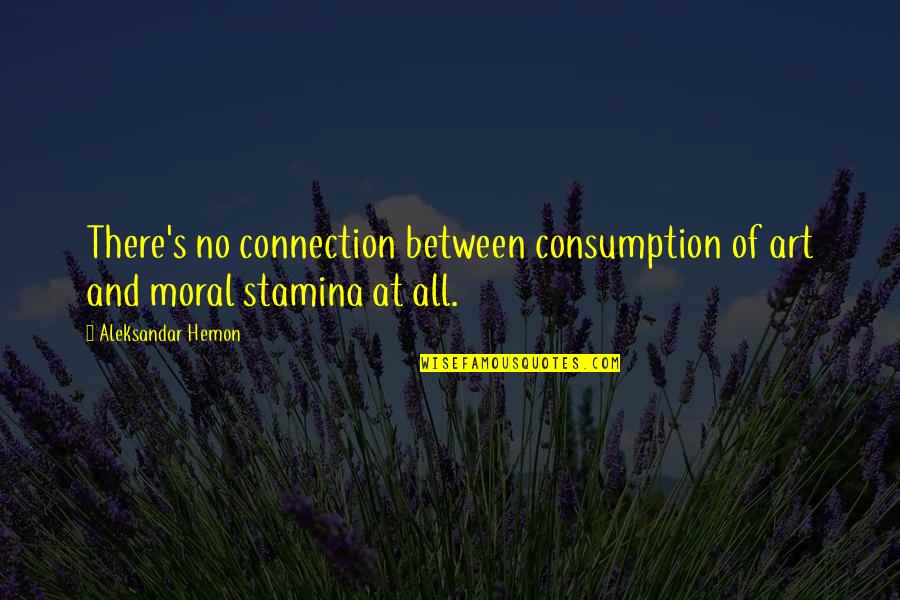 Stamina's Quotes By Aleksandar Hemon: There's no connection between consumption of art and