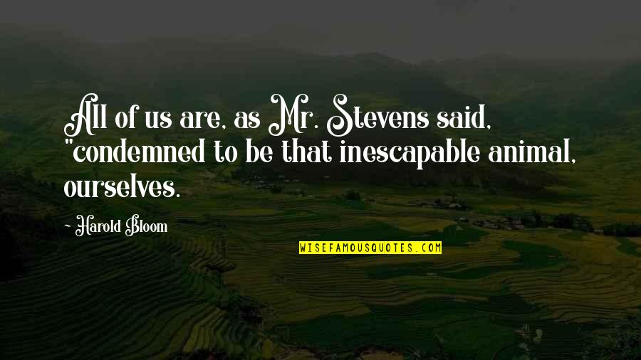 Stampaway Quotes By Harold Bloom: All of us are, as Mr. Stevens said,