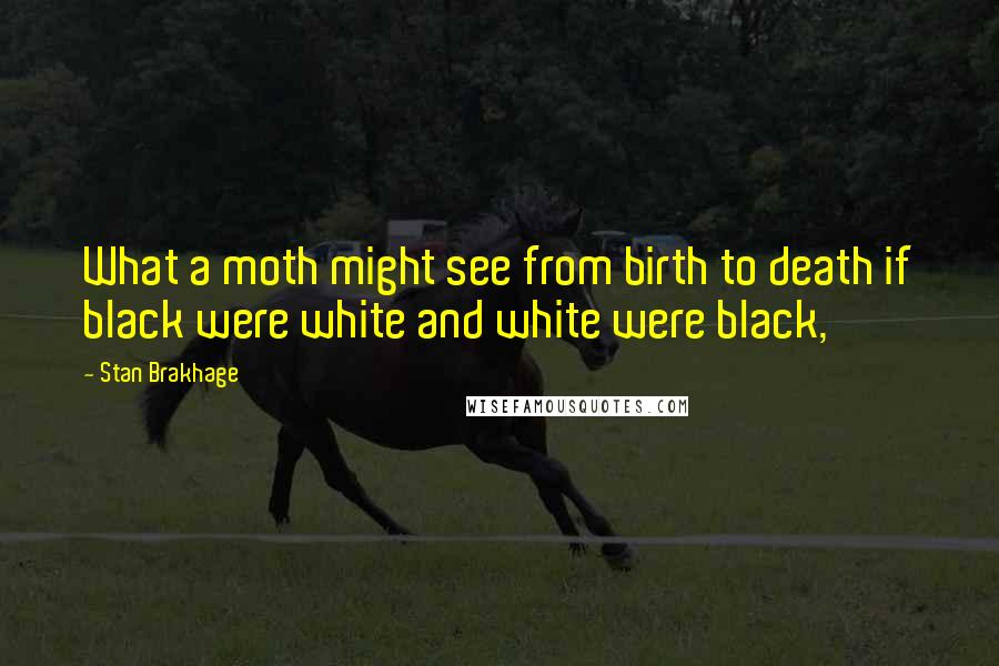 Stan Brakhage quotes: What a moth might see from birth to death if black were white and white were black,