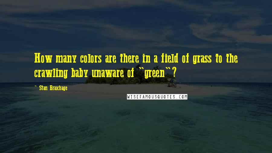 Stan Brakhage quotes: How many colors are there in a field of grass to the crawling baby unaware of "green"?