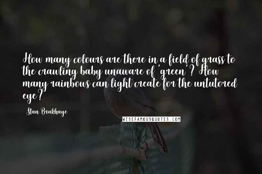 Stan Brakhage quotes: How many colours are there in a field of grass to the crawling baby unaware of 'green'? How many rainbows can light create for the untutored eye?