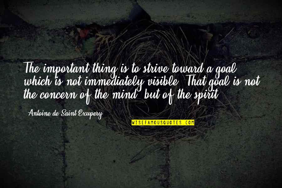 Stan Zemanek Quotes By Antoine De Saint-Exupery: The important thing is to strive toward a Stan Zemanek Quotes By Antoine De Saint-Exupery: The important thing is to strive toward a