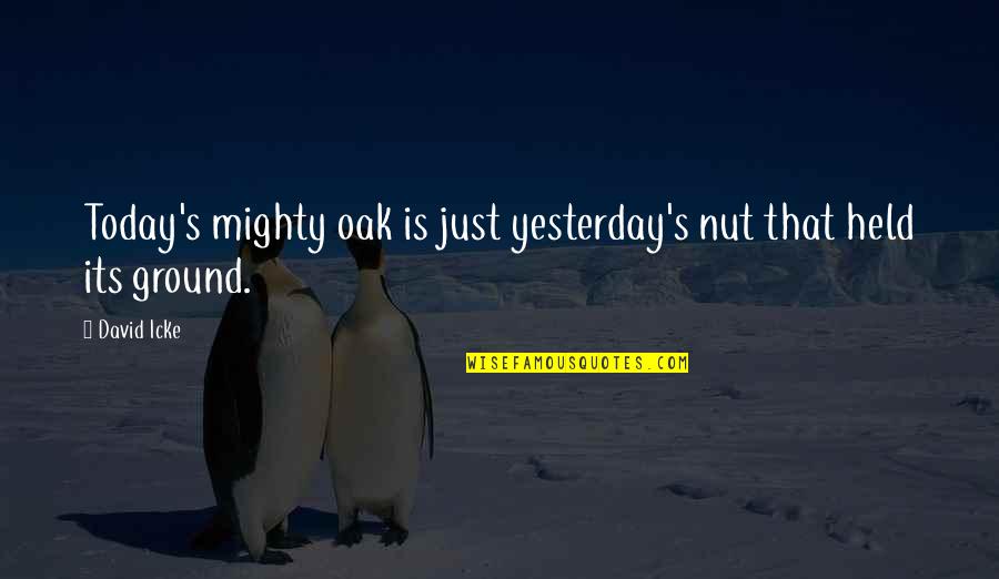 Stanborough Rob Quotes By David Icke: Today's mighty oak is just yesterday's nut that
