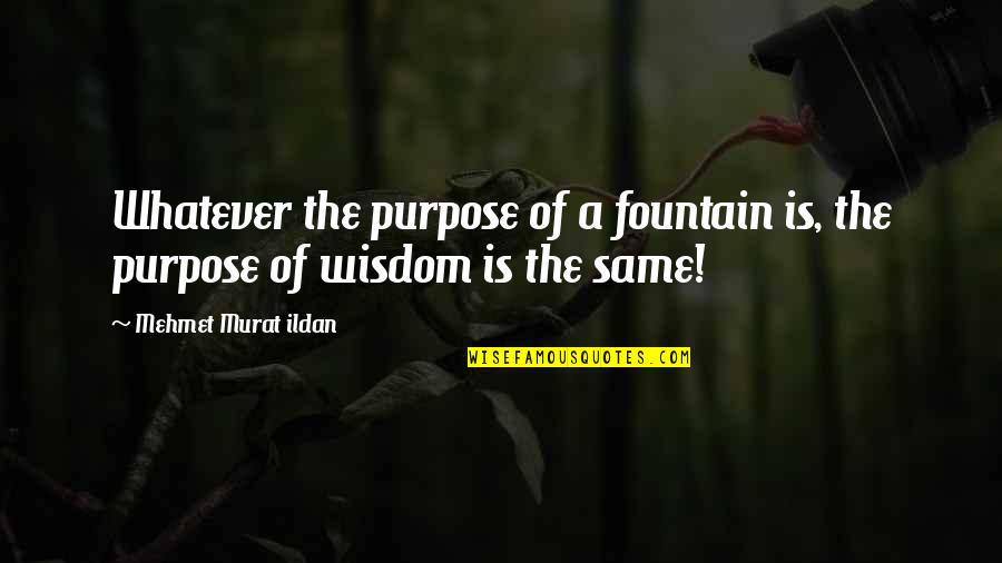 Stand By Me Life Quotes By Mehmet Murat Ildan: Whatever the purpose of a fountain is, the Stand By Me Life Quotes By Mehmet Murat Ildan: Whatever the purpose of a fountain is, the