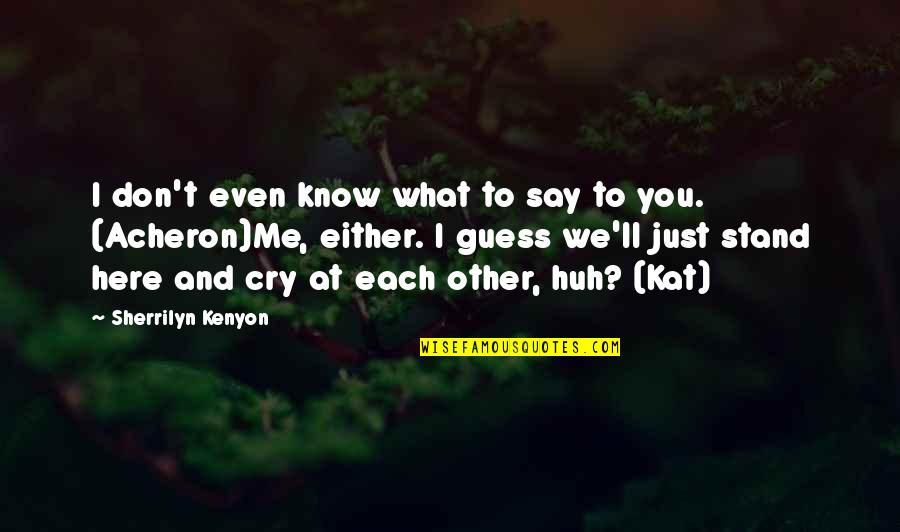 Stand By What You Say Quotes By Sherrilyn Kenyon: I don't even know what to say to