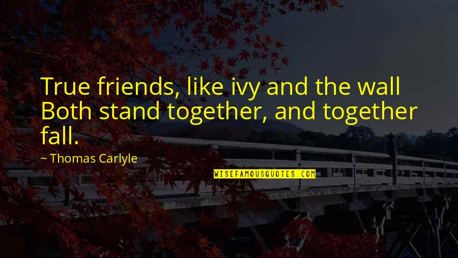 Stand By Your Friend Quotes By Thomas Carlyle: True friends, like ivy and the wall Both