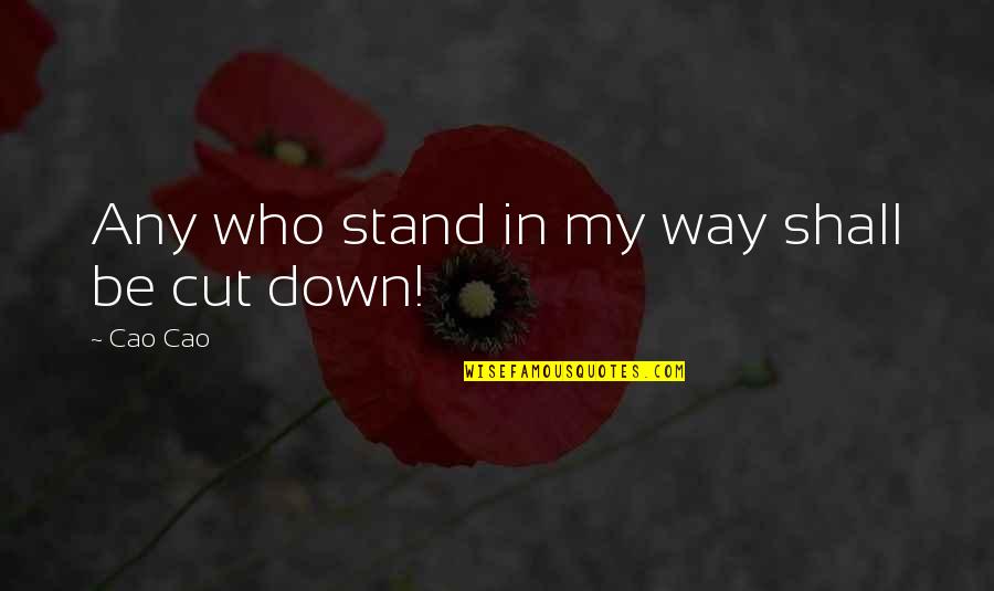 Stand Down Quotes By Cao Cao: Any who stand in my way shall be