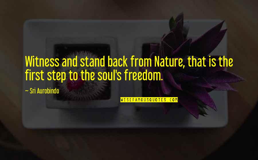 Stand For Freedom Quotes By Sri Aurobindo: Witness and stand back from Nature, that is