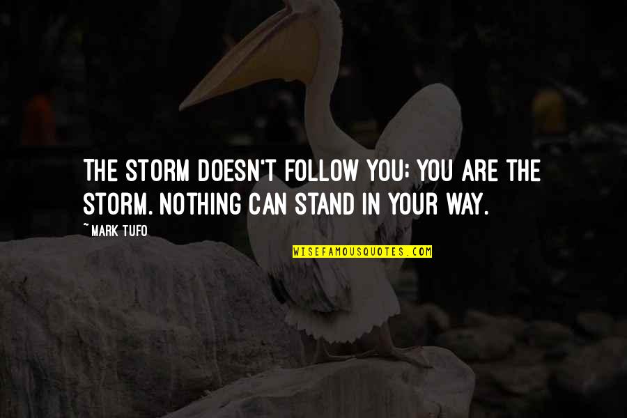 Stand For Nothing Quotes By Mark Tufo: The storm doesn't follow you; you are the