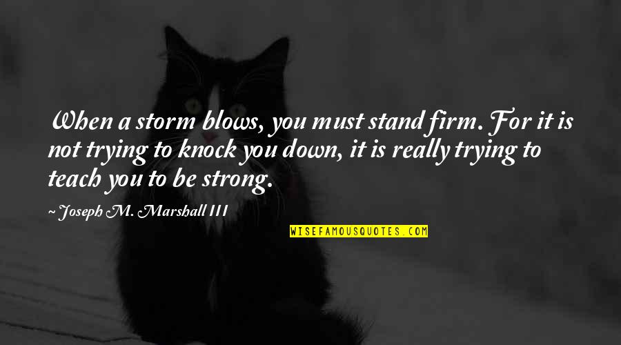 Stand For You Quotes By Joseph M. Marshall III: When a storm blows, you must stand firm. Stand For You Quotes By Joseph M. Marshall III: When a storm blows, you must stand firm.