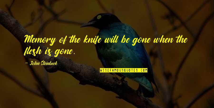 Stand In Awe Quotes By John Steinbeck: Memory of the knife will be gone when