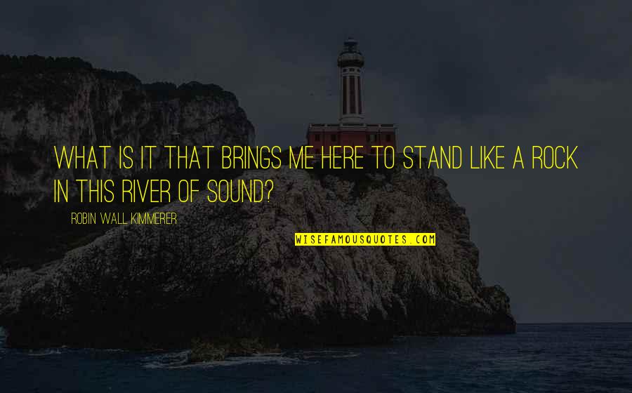 Stand Like A Rock Quotes By Robin Wall Kimmerer: What is it that brings me here to