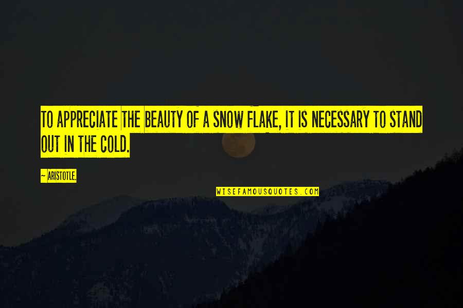 Stand Out Beauty Quotes By Aristotle.: To appreciate the beauty of a snow flake,