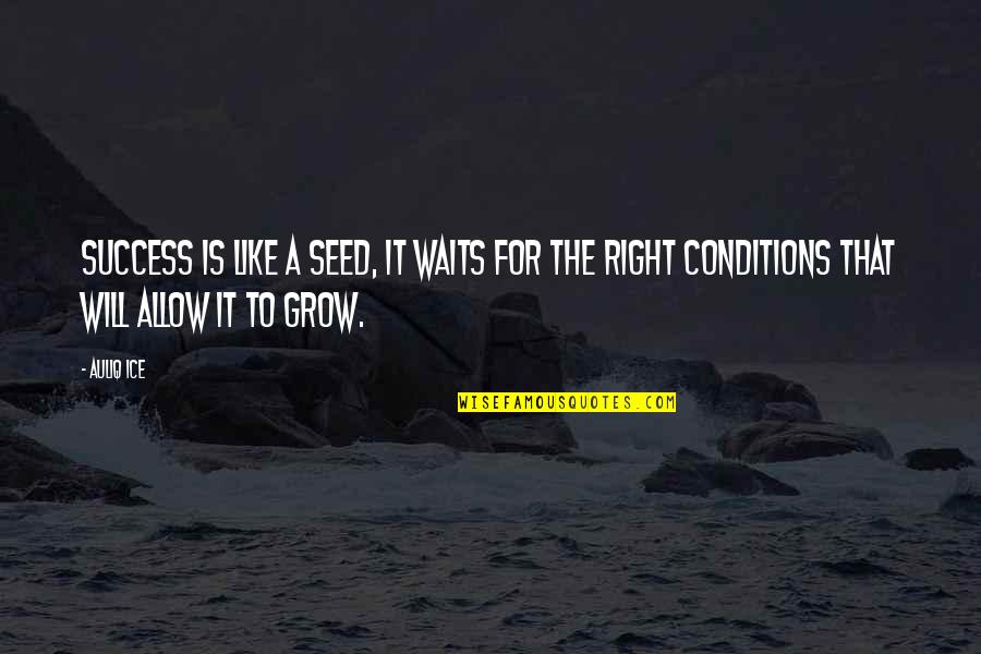 Stand Taller Quotes By Auliq Ice: Success is like a seed, it waits for