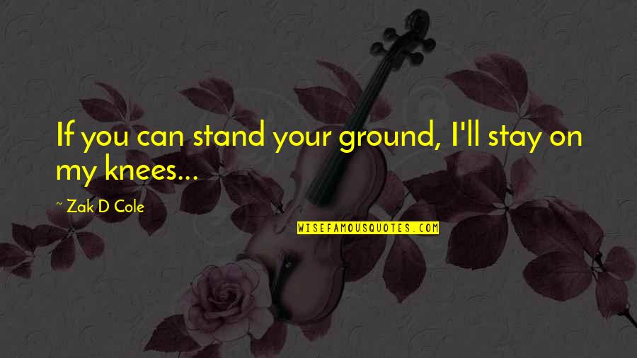 Stand Your Ground Quotes By Zak D Cole: If you can stand your ground, I'll stay