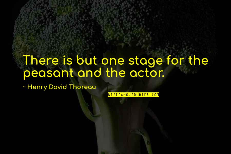 Standarde De Pregatire Quotes By Henry David Thoreau: There is but one stage for the peasant