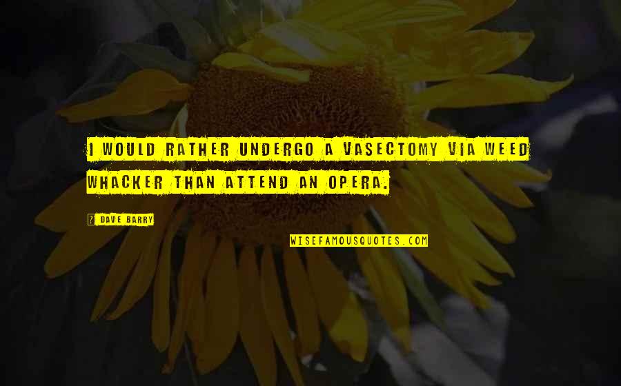 Standing Alone Success Quotes By Dave Barry: I would rather undergo a vasectomy via Weed