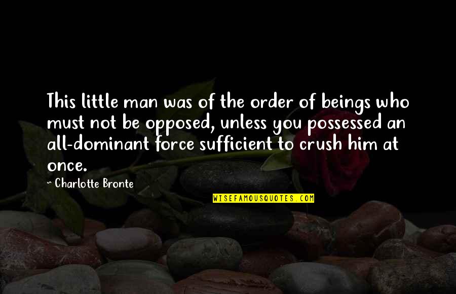 Standing By Him Quotes By Charlotte Bronte: This little man was of the order of