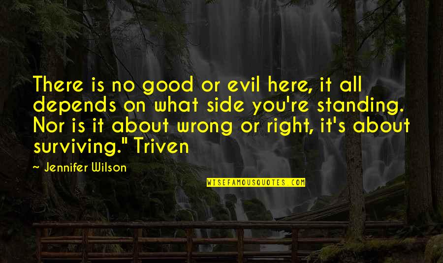 Standing By Side Quotes By Jennifer Wilson: There is no good or evil here, it