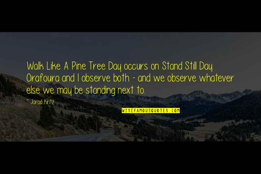 Standing Next To You Quotes By Jarod Kintz: Walk Like A Pine Tree Day occurs on