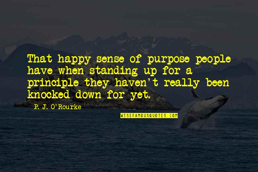 Standing Up For People Quotes By P. J. O'Rourke: That happy sense of purpose people have when