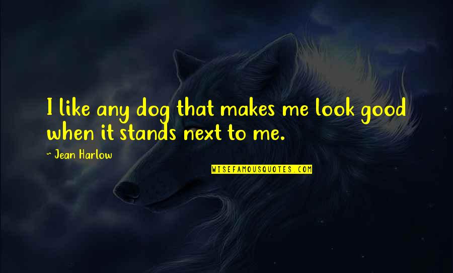 Stands Out Like Quotes By Jean Harlow: I like any dog that makes me look