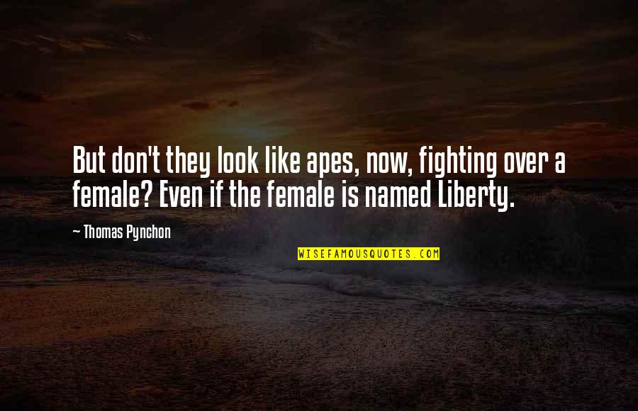 Stanier Black Quotes By Thomas Pynchon: But don't they look like apes, now, fighting Stanier Black Quotes By Thomas Pynchon: But don't they look like apes, now, fighting