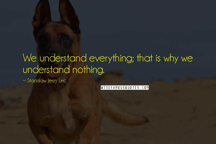 Stanislaw Jerzy Lec quotes: We understand everything; that is why we understand nothing.