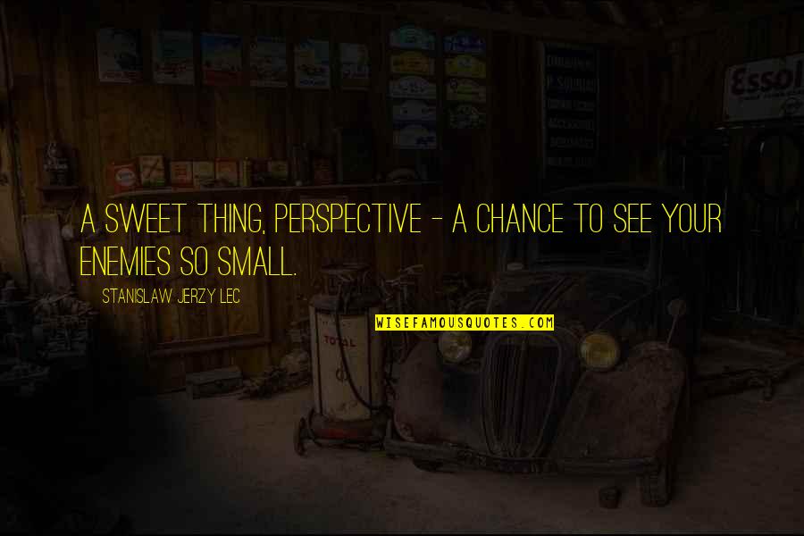 Stanislaw Quotes By Stanislaw Jerzy Lec: A sweet thing, perspective - a chance to