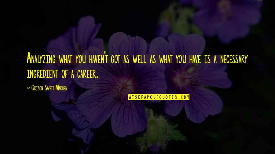 Stankiewicz Pittsfield Quotes By Orison Swett Marden: Analyzing what you haven't got as well as