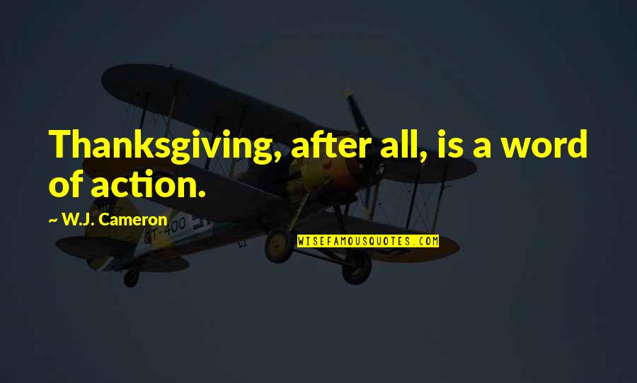 Stankov Oftalmologija Quotes By W.J. Cameron: Thanksgiving, after all, is a word of action.