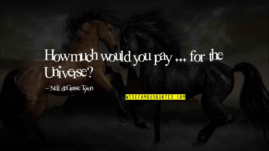 Stankovic Quotes By Neil DeGrasse Tyson: How much would you pay ... for the