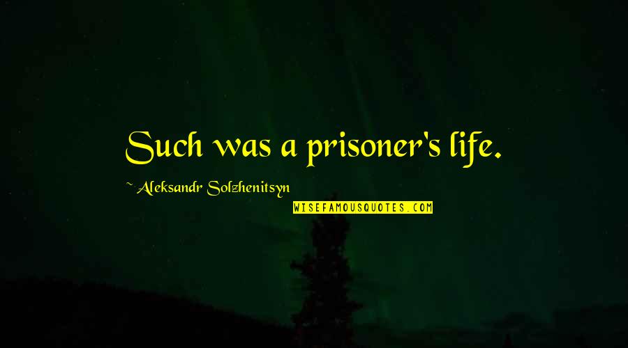 Stankovic Transport Quotes By Aleksandr Solzhenitsyn: Such was a prisoner's life.