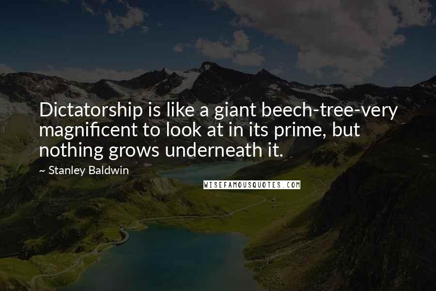 Stanley Baldwin quotes: Dictatorship is like a giant beech-tree-very magnificent to look at in its prime, but nothing grows underneath it.