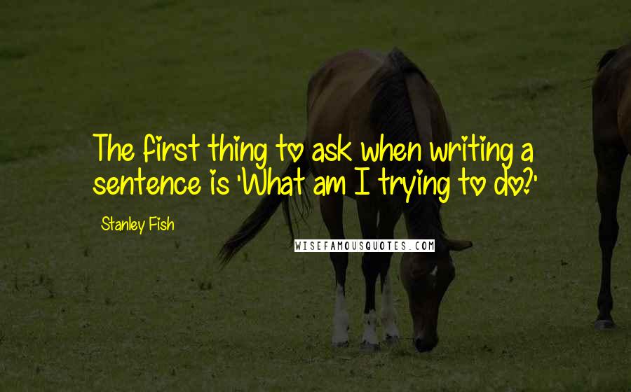 Stanley Fish quotes: The first thing to ask when writing a sentence is 'What am I trying to do?'