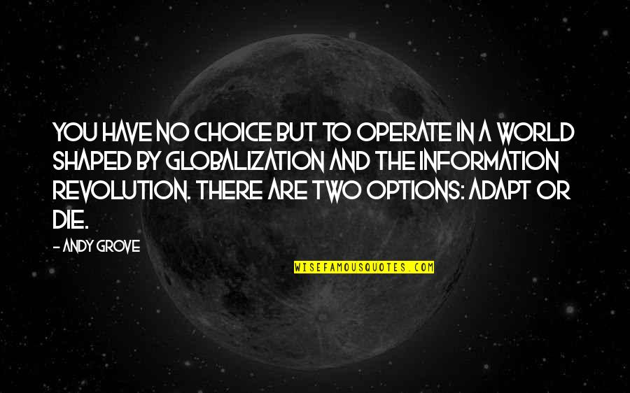 Stanovnik Indije Quotes By Andy Grove: You have no choice but to operate in Stanovnik Indije Quotes By Andy Grove: You have no choice but to operate in