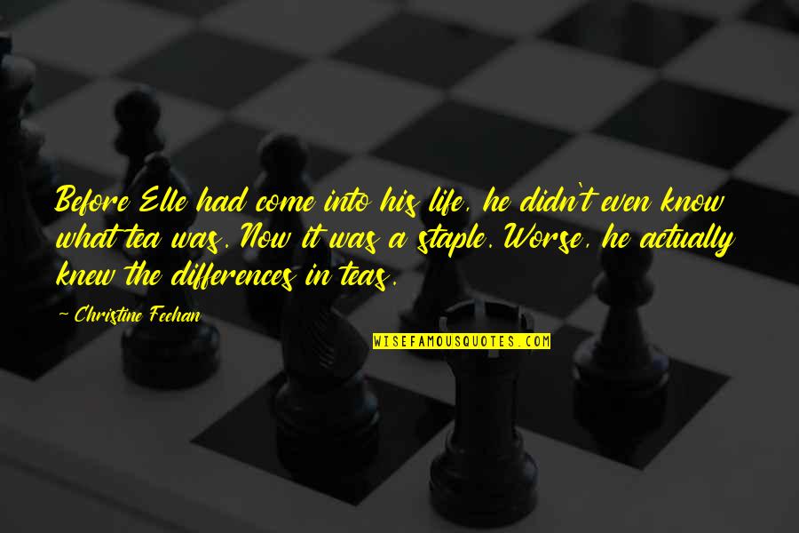 Staple Quotes By Christine Feehan: Before Elle had come into his life, he Staple Quotes By Christine Feehan: Before Elle had come into his life, he