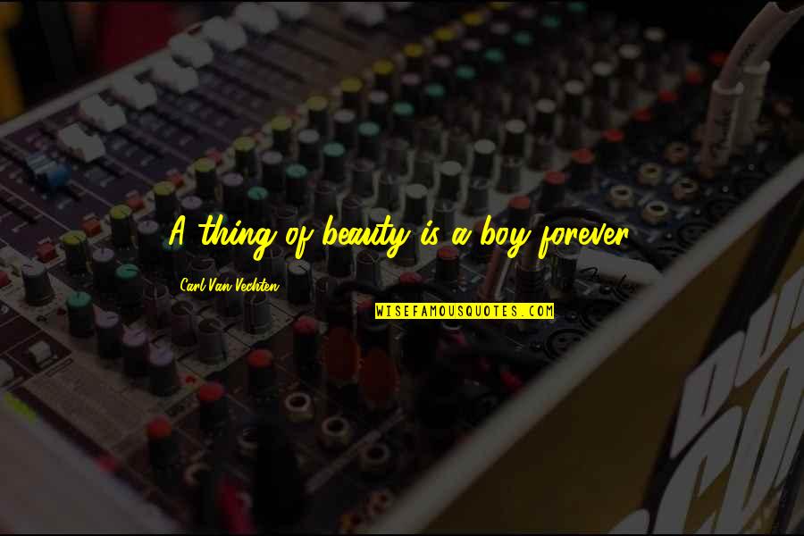 Star Wars Darth Vader Quotes By Carl Van Vechten: A thing of beauty is a boy forever. Star Wars Darth Vader Quotes By Carl Van Vechten: A thing of beauty is a boy forever.