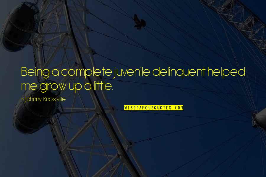 Star Wars Red Team Quotes By Johnny Knoxville: Being a complete juvenile delinquent helped me grow Star Wars Red Team Quotes By Johnny Knoxville: Being a complete juvenile delinquent helped me grow