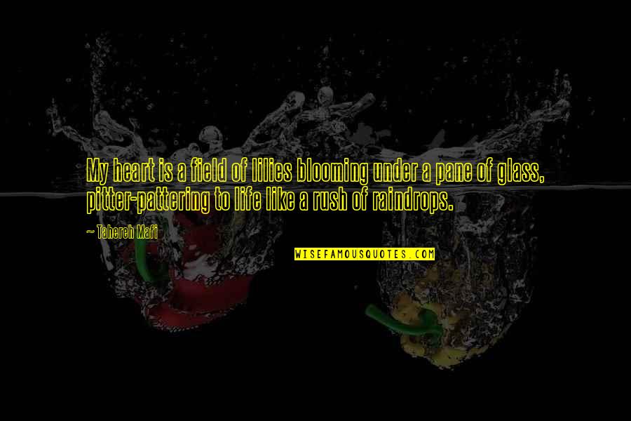 Starbene Quotes By Tahereh Mafi: My heart is a field of lilies blooming Starbene Quotes By Tahereh Mafi: My heart is a field of lilies blooming